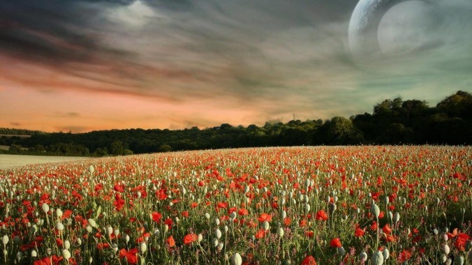 大街上看到大白腿，忍不住瞄了两眼，算不算不尊重女性？